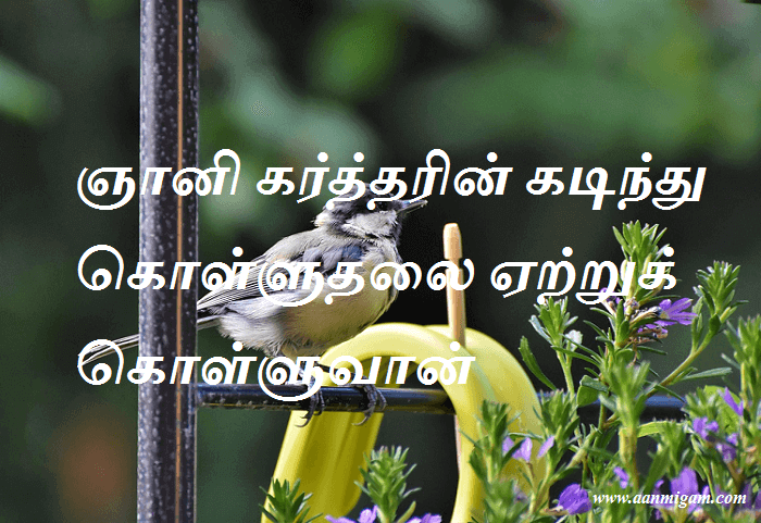 ஞானி கர்த்தரின் கடிந்து கொள்ளுதலை ஏற்றுக் கொள்ளுவான்