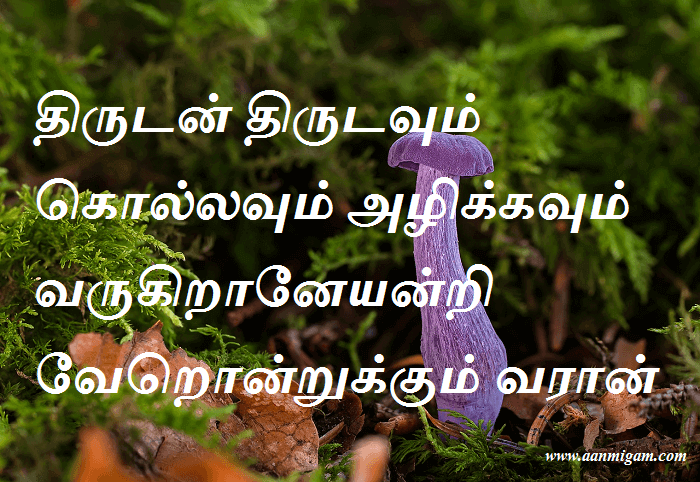 திருடன் திருடவும் கொல்லவும் அழிக்கவும் வருகிறானேயன்றி வேறொன்றுக்கும் வரான்
