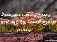 தேவனுடைய சித்தத்தை நாம் அறிந்து கொள்ளுவது எப்படி