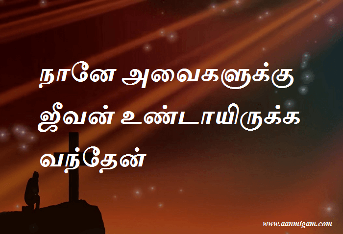 நானே அவைகளுக்கு ஜீவன் உண்டாயிருக்க வந்தேன்