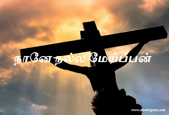 நானே நல்ல மேய்ப்பன்