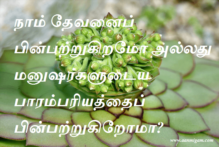 நாம் தேவனைப் பின்பற்றுகிறமோ அல்லது மனுஷர்களுடைய பாரம்பரியத்தைப் பின்பற்றுகிறோமா