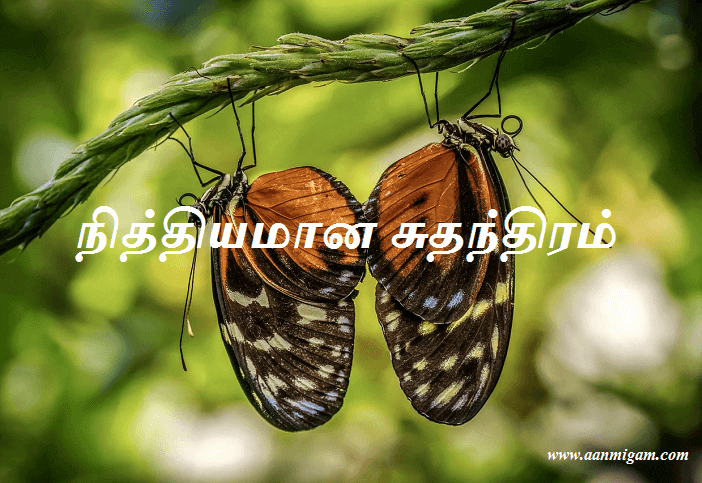 நித்தியமான சுதந்திரம்