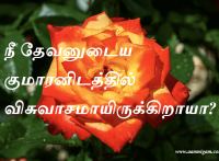 நீ தேவனுடைய குமாரனிடத்தில் விசுவாசமாயிருக்கிறாயா