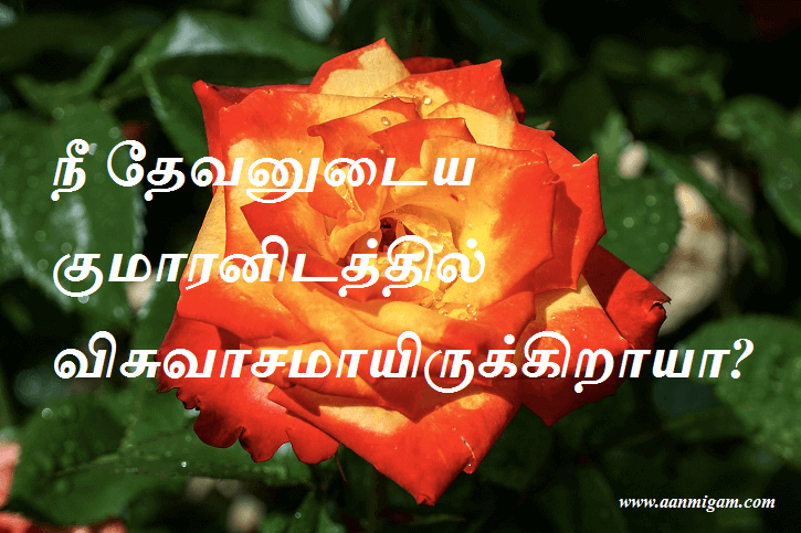 நீ தேவனுடைய குமாரனிடத்தில் விசுவாசமாயிருக்கிறாயா