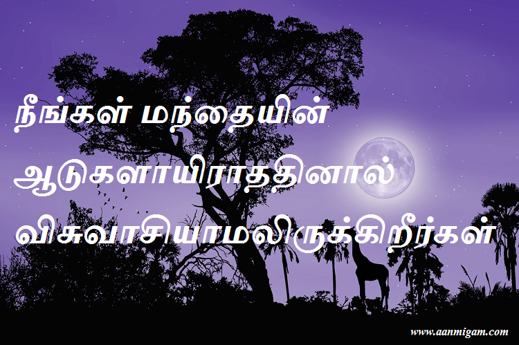 நீங்கள் மந்தையின் ஆடுகளாயிராததினால் விசுவாசியாமலிருக்கிறீர்கள்