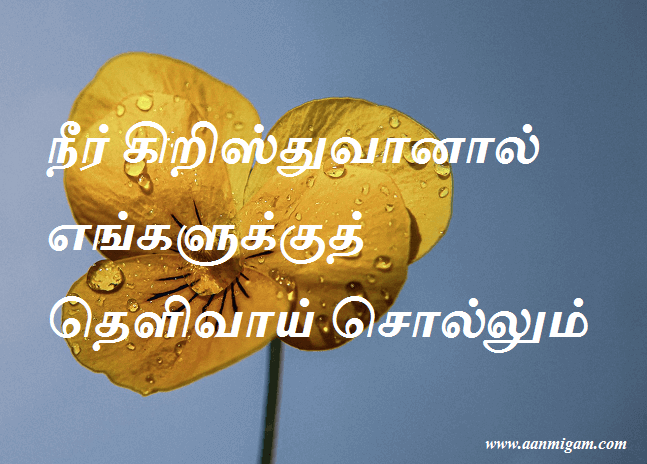நீர் கிறிஸ்துவானால் எங்களுக்குத் தெளிவாய் சொல்லும்