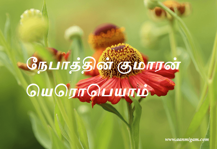 நேபாத்தின் குமாரன் யெரொபெயாம்
