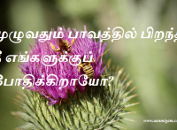 முழுவதும் பாவத்தில் பிறந்த நீ எங்களுக்குப் போதிக்கிறாயோ