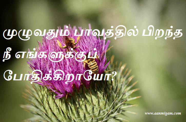 முழுவதும் பாவத்தில் பிறந்த நீ எங்களுக்குப் போதிக்கிறாயோ