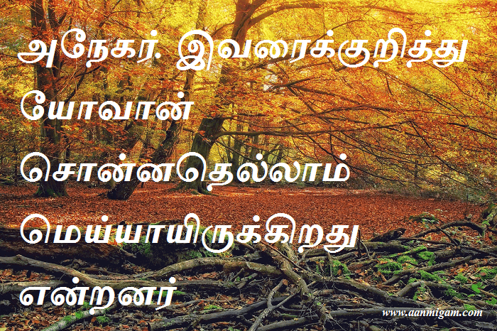 அநேகர். இவரைக்குறித்து யோவான் சொன்னதெல்லாம் மெய்யாயிருக்கிறது என்றனர்