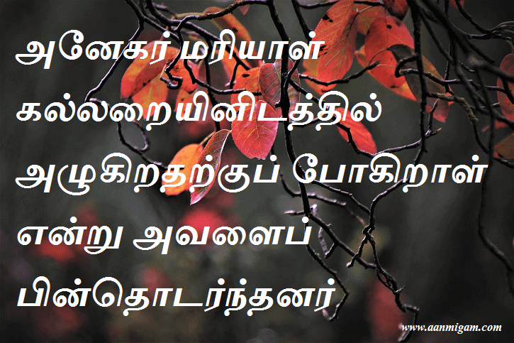அனேகர் மரியாள் கல்லறையினிடத்தில் அழுகிறதற்குப் போகிறாள் என்று அவளைப் பின்தொடர்ந்தனர்