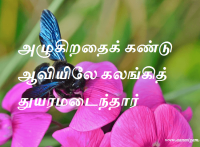 அழுகிறதைக் கண்டு ஆவியிலே கலங்கித் துயரமடைந்தார்