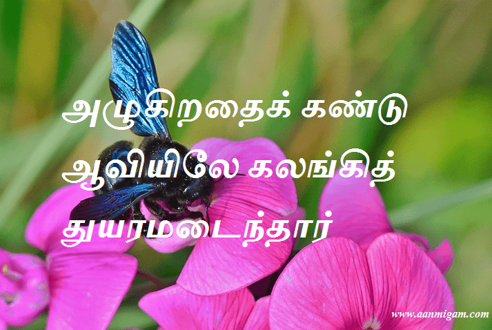 அழுகிறதைக் கண்டு ஆவியிலே கலங்கித் துயரமடைந்தார்