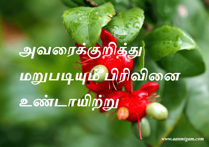அவரைக்குறித்து மறுபடியும் பிரிவினை உண்டாயிற்று