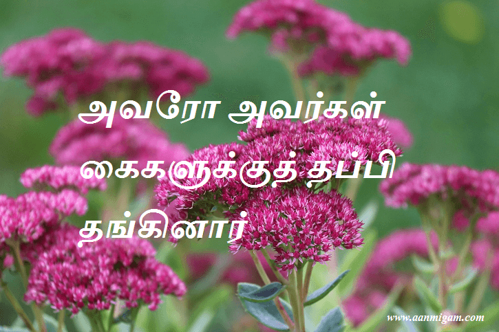 அவரோ அவர்கள் கைகளுக்குத் தப்பி தங்கினார்
