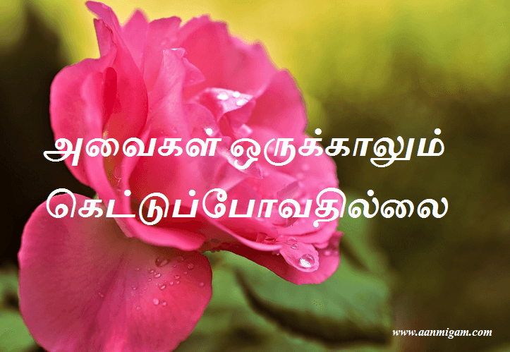 அவைகள் ஒருக்காலும் கெட்டுப்போவதில்லை