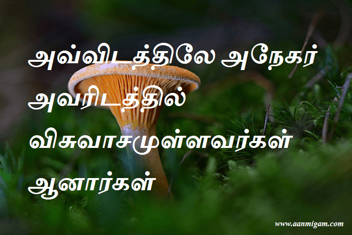 அவ்விடத்திலே அநேகர் அவரிடத்தில் விசுவாசமுள்ளவர்கள் ஆனார்கள்