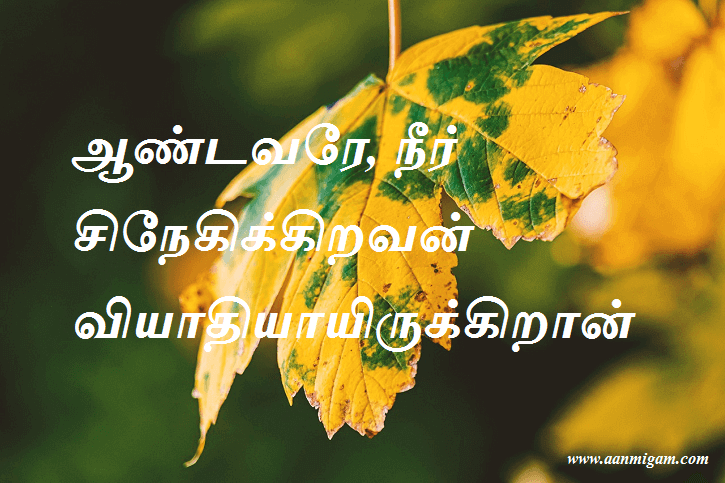 ஆண்டவரே, நீர் சிநேகிக்கிறவன் வியாதியாயிருக்கிறான்