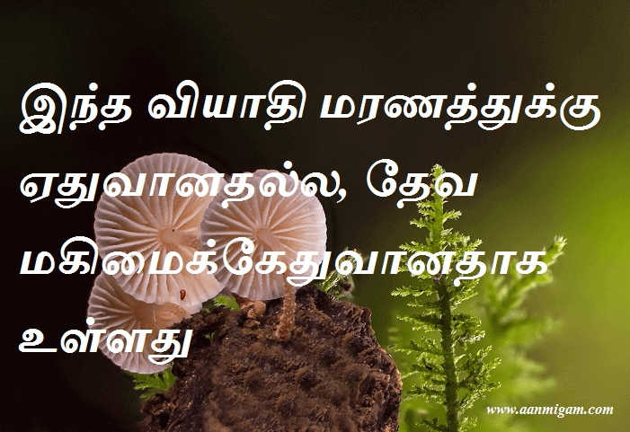 இந்த வியாதி மரணத்துக்கு ஏதுவானதல்ல, தேவ மகிமைக்கேதுவானதாக உள்ளது
