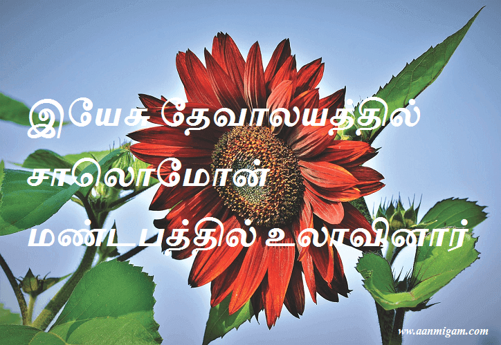 இயேசு தேவாலயத்தில் சாலொமோன் மண்டபத்தில் உலாவினார்