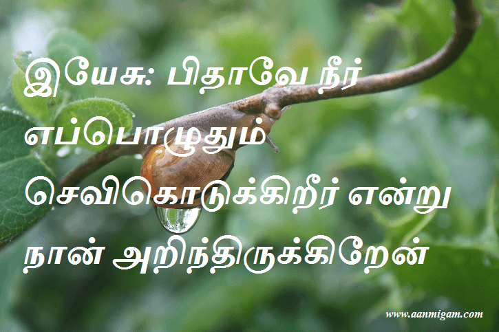 இயேசு பிதாவே நீர் எப்பொழுதும் செவிகொடுக்கிறீர் என்று நான் அறிந்திருக்கிறேன்