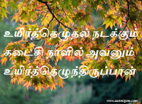 உயிர்த்தெழுதல் நடக்கும் கடைசி நாளில் அவனும் உயிர்த்தெழுந்திருப்பான்