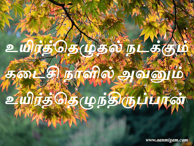உயிர்த்தெழுதல் நடக்கும் கடைசி நாளில் அவனும் உயிர்த்தெழுந்திருப்பான்