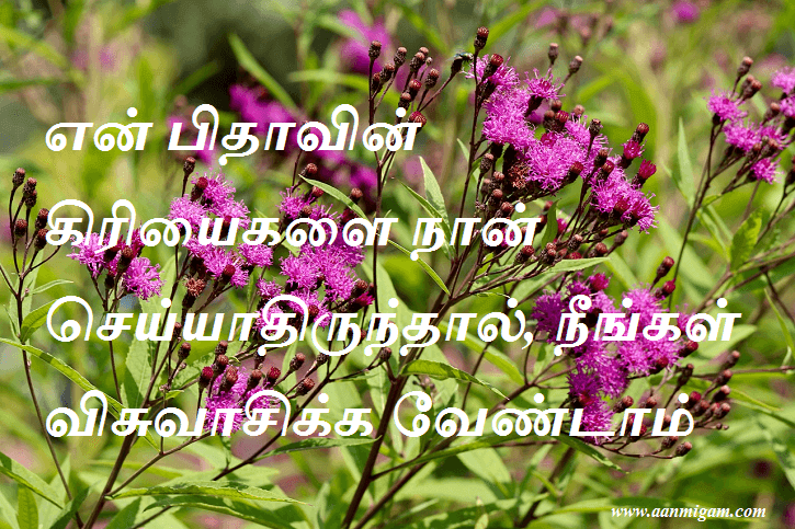 என் பிதாவின் கிரியைகளை நான் செய்யாதிருந்தால், நீங்கள் விசுவாசிக்க வேண்டாம்