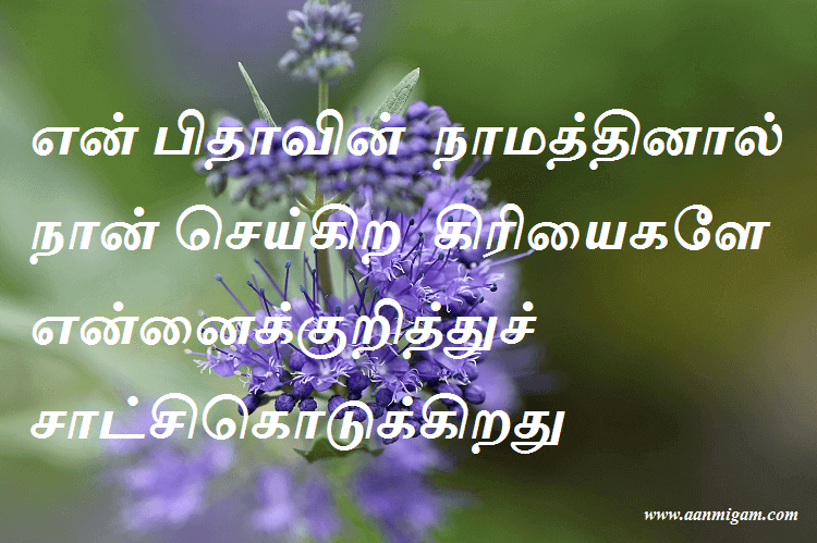 என் பிதாவின் நாமத்தினால் நான் செய்கிற கிரியைகளே என்னைக்குறித்துச் சாட்சிகொடுக்கிறது