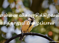 என்னை விசுவாசிக்கிறவன் மரித்தாலும் பிழைப்பான்