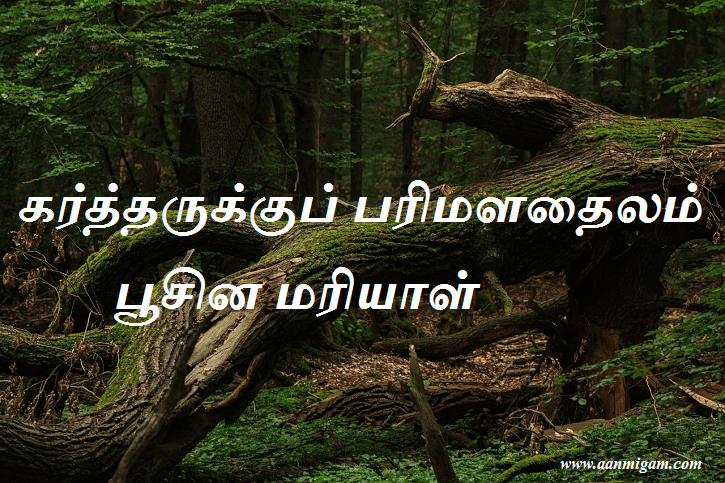 கர்த்தருக்குப் பரிமளதைலம் பூசின மரியாள்