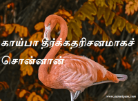 காய்பா தீர்க்கதரிசனமாகச் சொன்னான்