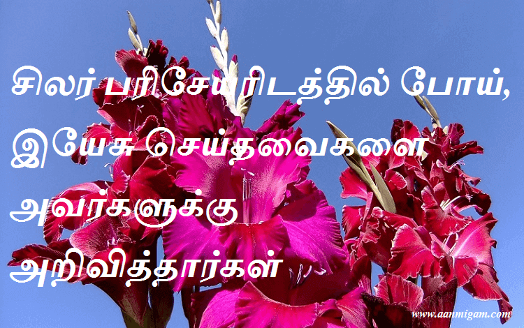 சிலர் பரிசேயரிடத்தில் போய், இயேசு செய்தவைகளை அவர்களுக்கு அறிவித்தார்கள்