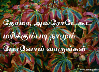 தோமா, அவரோடேகூட மரிக்கும்படி நாமும் போவோம் வாருங்கள்