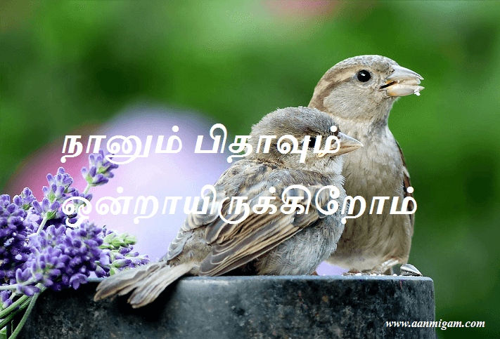 நானும் பிதாவும் ஒன்றாயிருக்கிறோம்