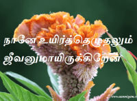 நானே உயிர்த்தெழுதலும் ஜீவனுமாயிருக்கிறேன்