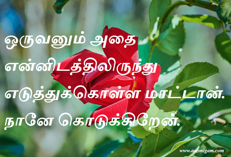 நானே கொடுக்கிறேன்