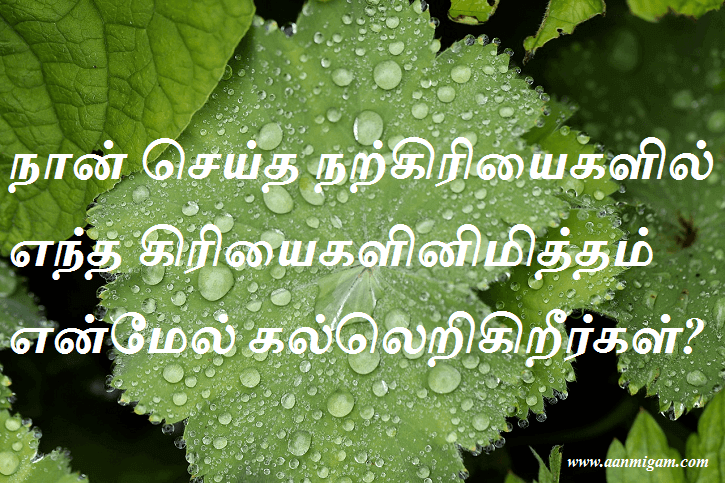 நான் செய்த நற்கிரியைகளில் எந்த கிரியைகளினிமித்தம் என்மேல் கல்லெறிகிறீர்கள்