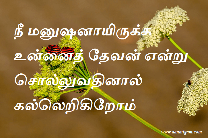 நீ மனுஷனாயிருக்க உன்னைத் தேவன் என்று சொல்லுவதினால் கல்லெறிகிறோம்