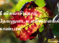 நீ விசுவாசித்தால் தேவனுடைய மகிமையைக் காண்பாய்