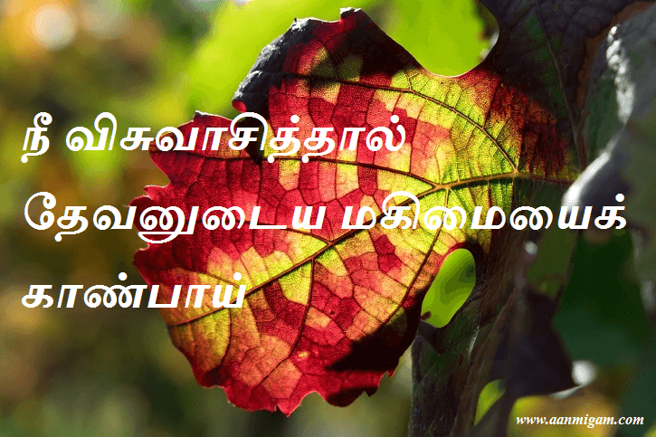 நீ விசுவாசித்தால் தேவனுடைய மகிமையைக் காண்பாய்