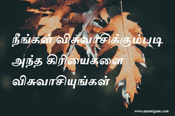 நீங்கள் விசுவாசிக்கும்படி அந்த கிரியைகளை விசுவாசியுங்கள்