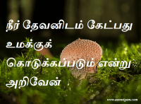 நீர் தேவனிடம் கேட்பது உமக்குக் கொடுக்கப்படும் என்று அறிவேன்