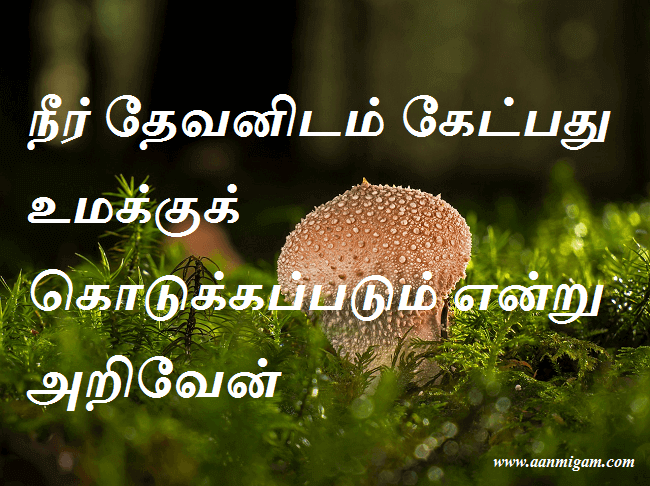 நீர் தேவனிடம் கேட்பது உமக்குக் கொடுக்கப்படும் என்று அறிவேன்