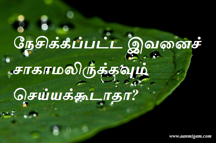 நேசிக்கப்பட்ட இவனைச் சாகாமலிருக்கவும் செய்யக்கூடாதா