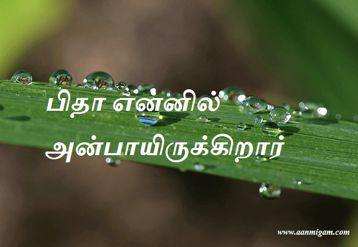 பிதா என்னில் அன்பாயிருக்கிறார்
