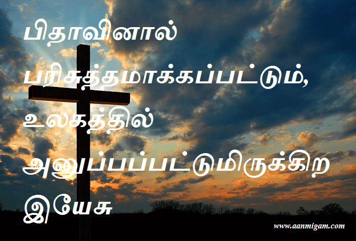 பிதாவினால் பரிசுத்தமாக்கப்பட்டும், உலகத்தில் அனுப்பப்பட்டுமிருக்கிற இயேசு