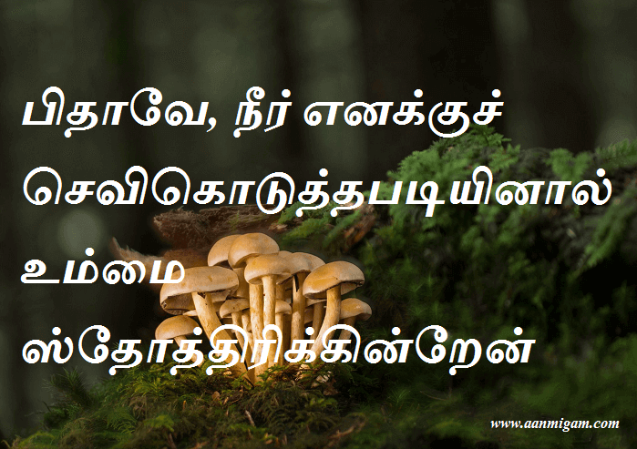 பிதாவே, நீர் எனக்குச் செவிகொடுத்தபடியினால் உம்மை ஸ்தோத்திரிக்கின்றேன்