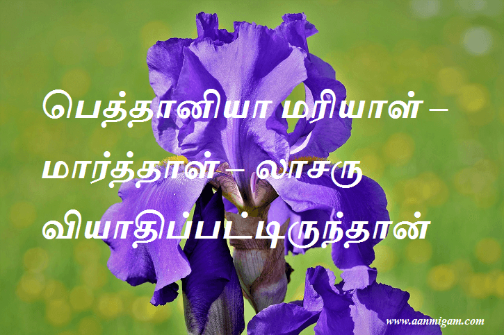 பெத்தானியா மரியாள் – மார்த்தாள் – லாசரு வியாதிப்பட்டிருந்தான்